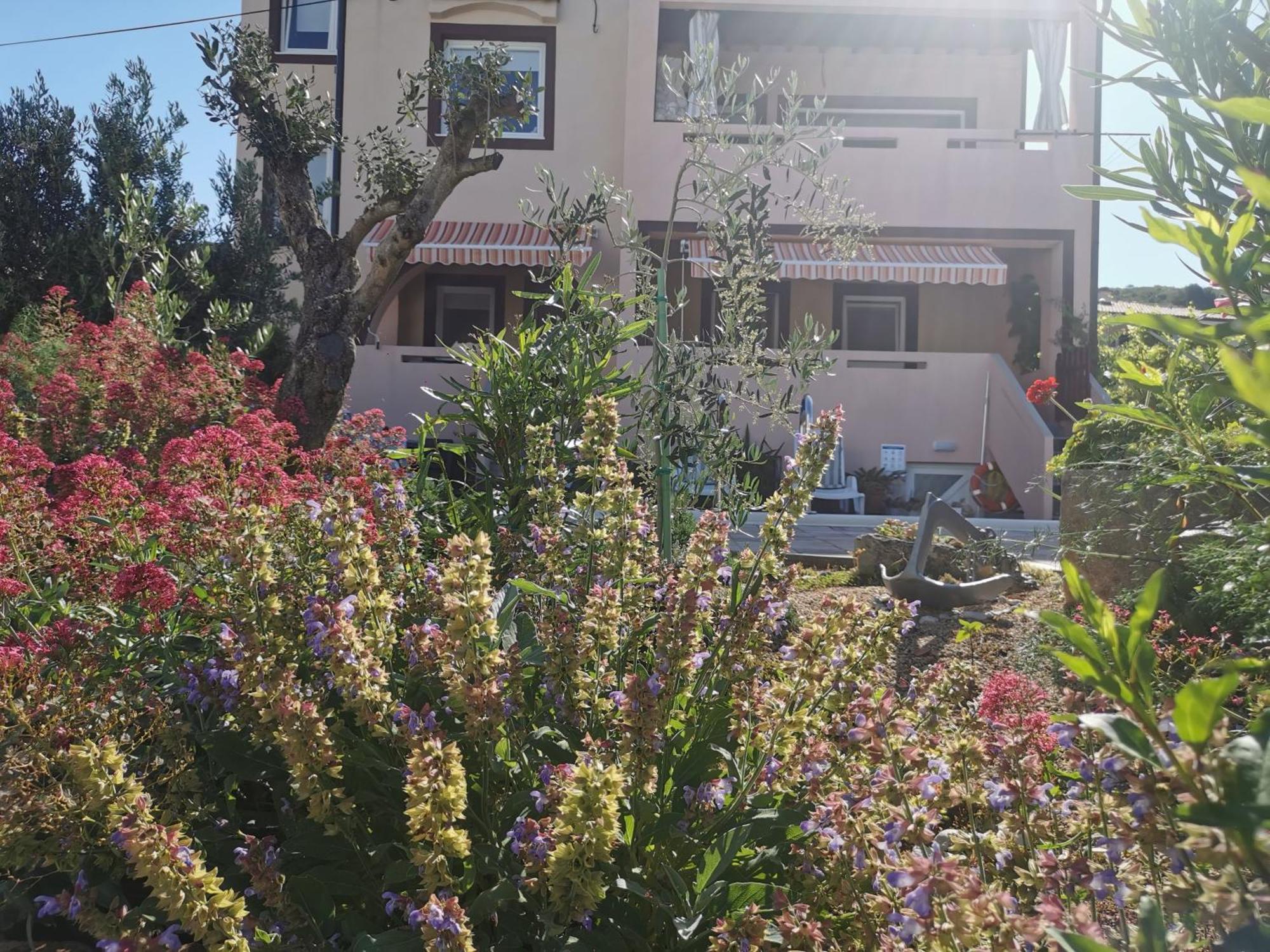 Apartman Franolic Punat Exterior photo